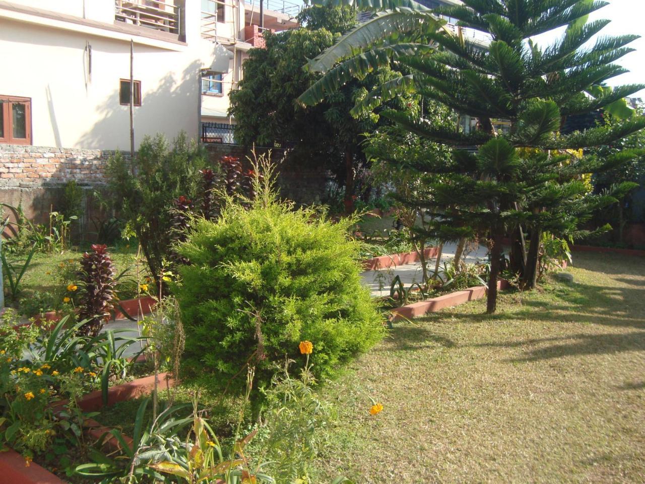 Geo Guest house Pokhara Extérieur photo